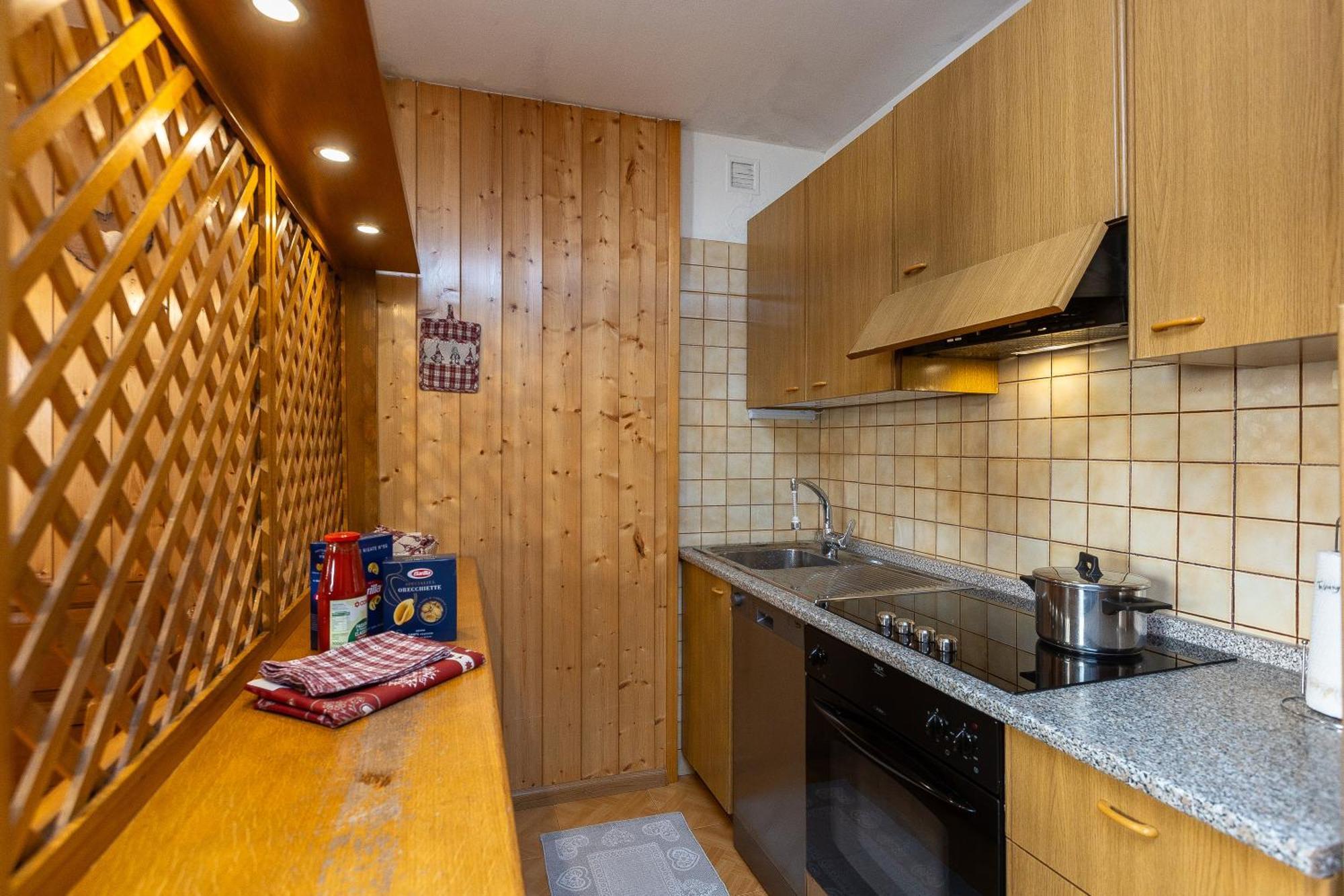 Ciasa De Vich Daire Vigo di Fassa Dış mekan fotoğraf